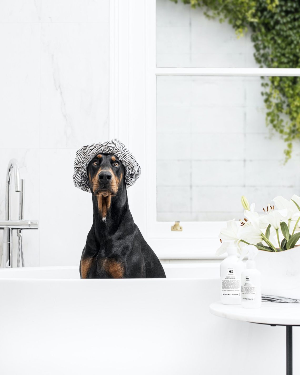 How To Wash Your Dog When It's Cold Outside Natural Dog Shampoo