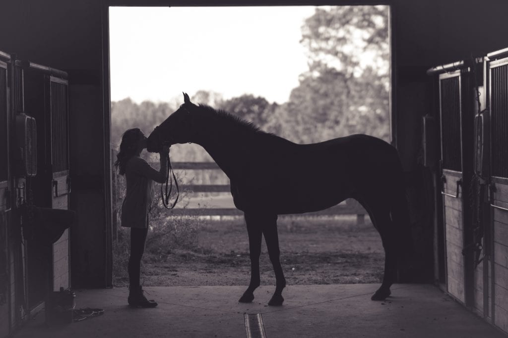 Horse & Girl in Barn