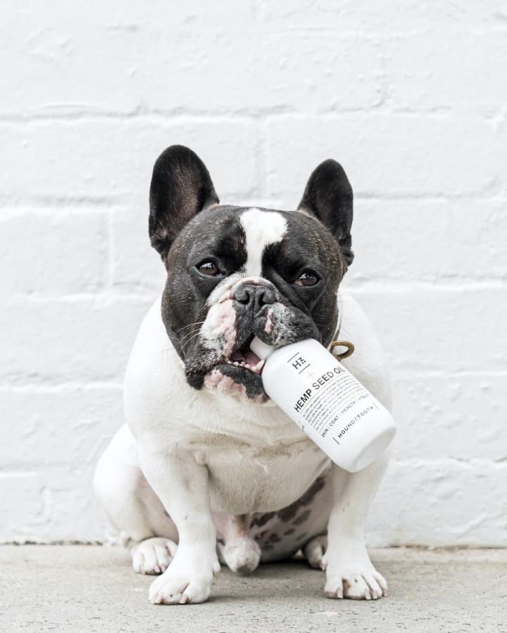 The Science Behind Hemp Seed Oil