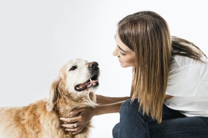 COVID-19 & Caring For Your Pets