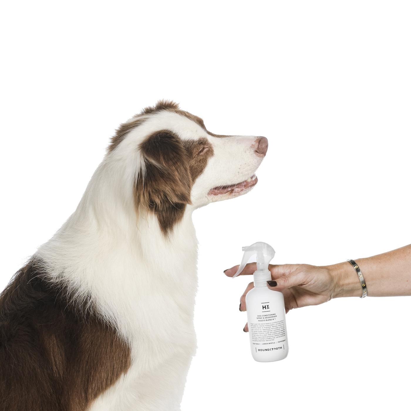 oatmeal shampoo for dogs, dog shampoo for itchy skin, natural dog shampoo, hemp oil for dogs australia,