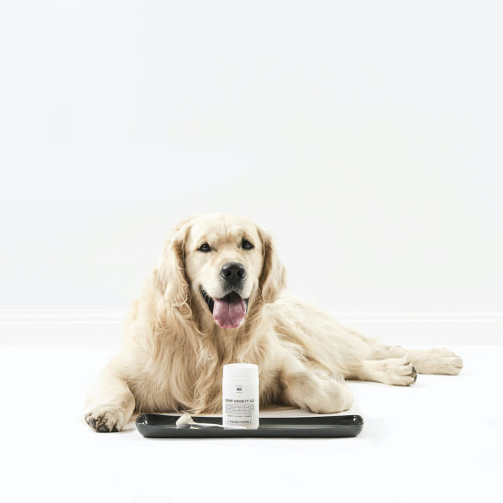 Introducing Our Hemp Anxiety Aid to Your Dog