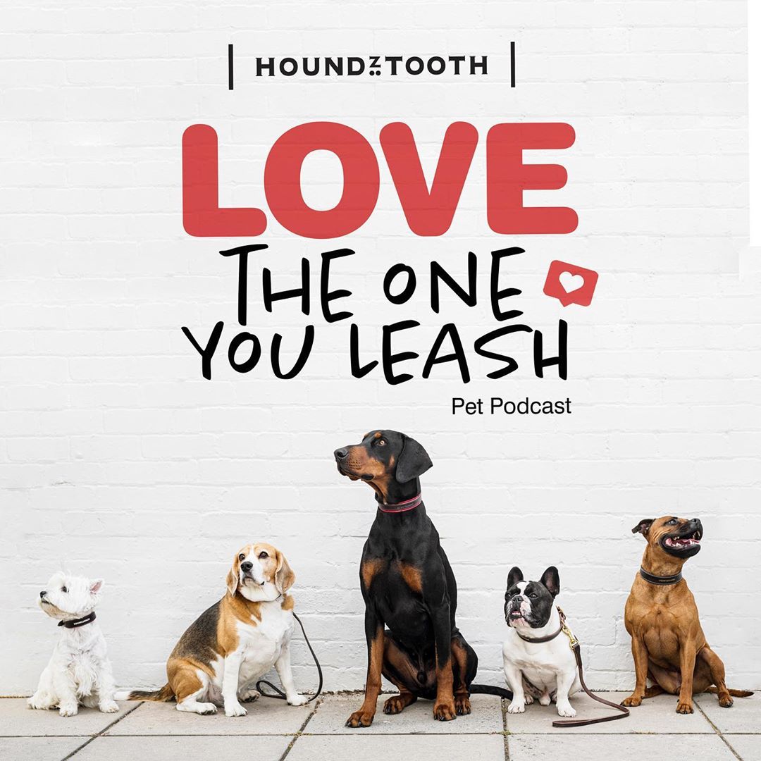 106206824 308394573532320 8191189656220950939 n min Everything we know, we learned from dogs. The rise of Houndztooth