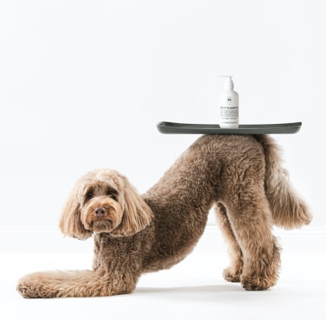 Grooming
