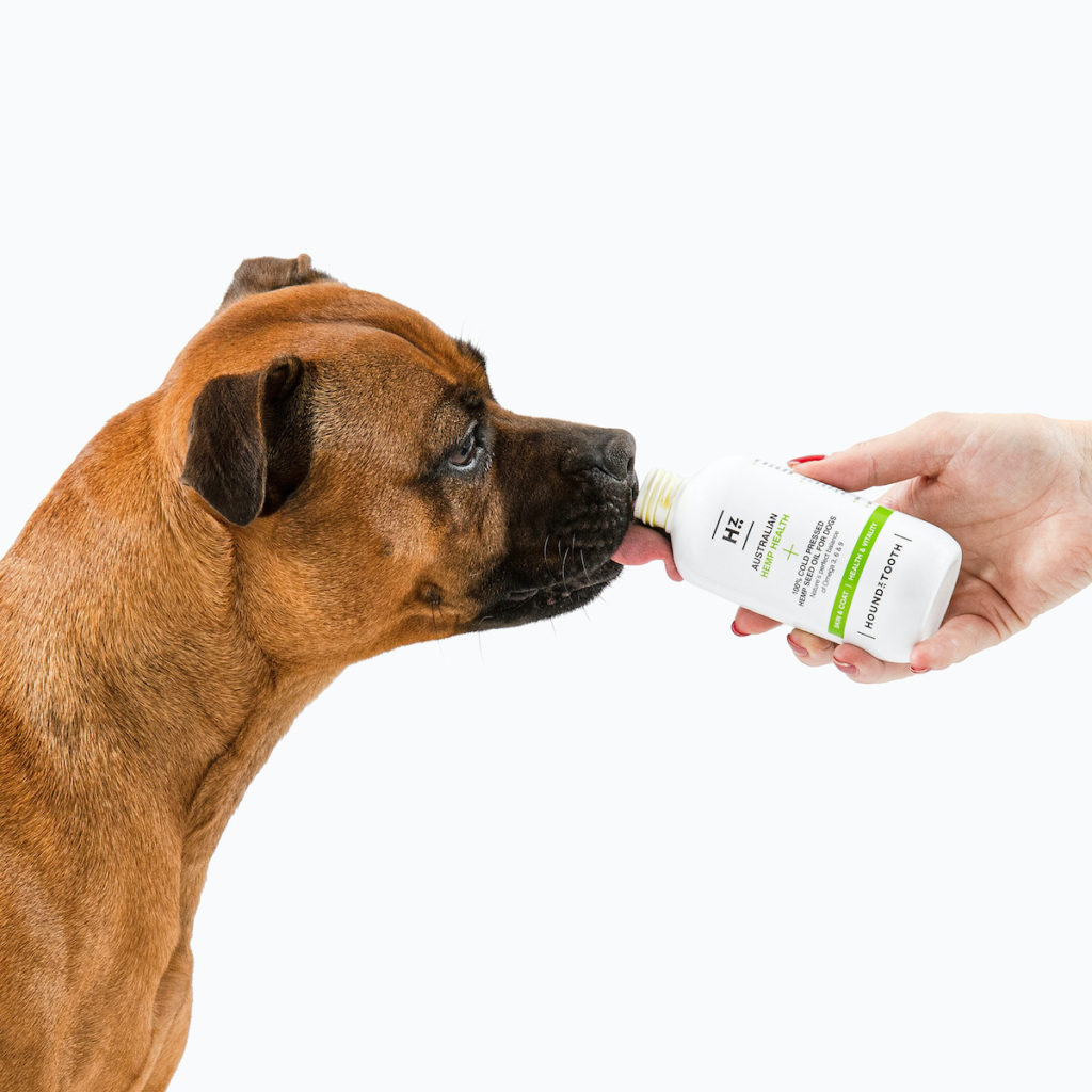 Houndztooth Dog Shoot 432 sRGB 1210dpiweb Natural Supplements For Dogs and Their Benefits