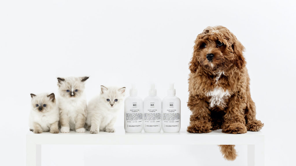 Houndztooth Puppies Pussies 6707 11 AdobeRGB 300dpi Choosing The Right Grooming Product For Your Puppy & Kitten