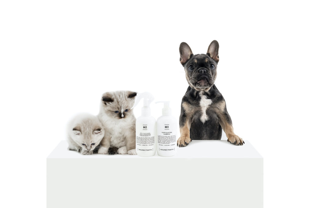 Houndztooth Puppies Pussies 7238 AdobeRGB 300dpi Choosing The Right Grooming Product For Your Puppy & Kitten