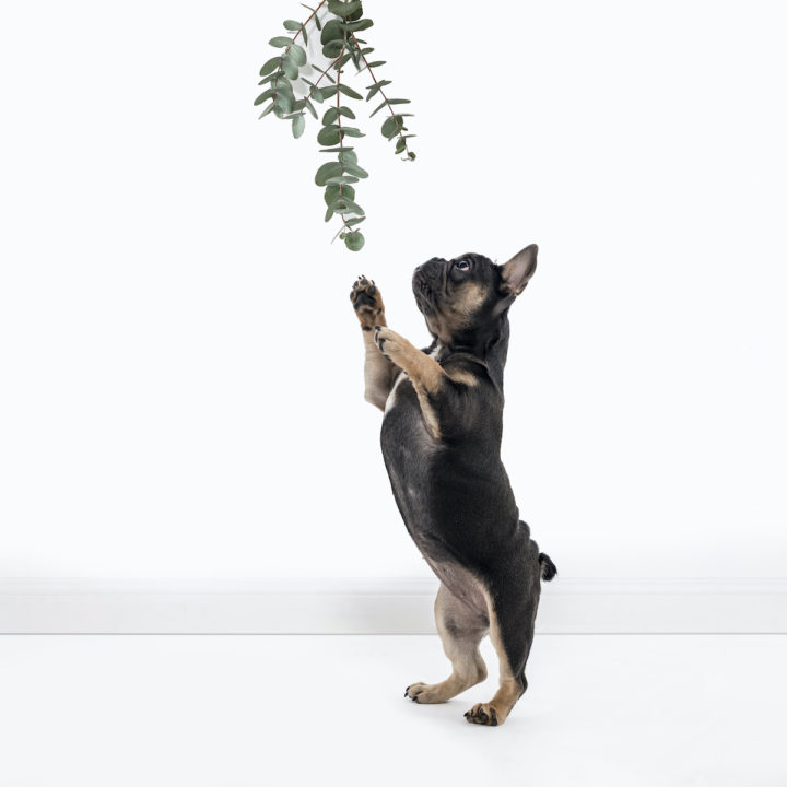 Our Australian Supply Partners & Natural Ingredients