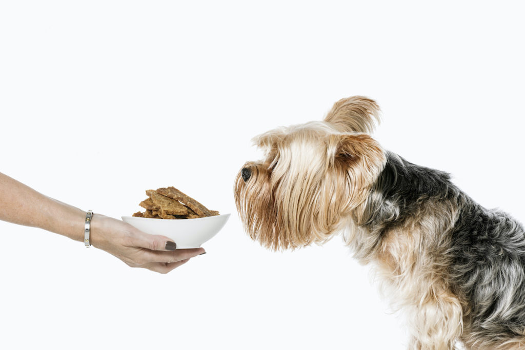 Houndztooth Sherlock Treat Bowl 1 AdobeRGB 300dpi Feeding Clean Dog Treats & Natural Supplements