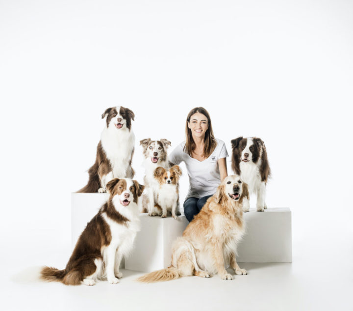 Training Your Adolescent Puppy With Dr. Katrina