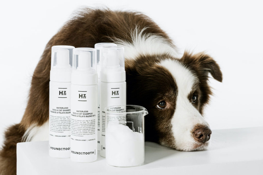 Is Human Shampoo Safe For Dogs?