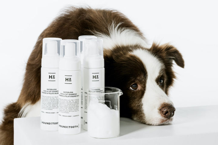 Is Human Shampoo Safe for Dogs?