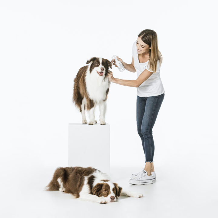 Deshedding: Tips for Grooming Border Collies & Double Coat Breeds