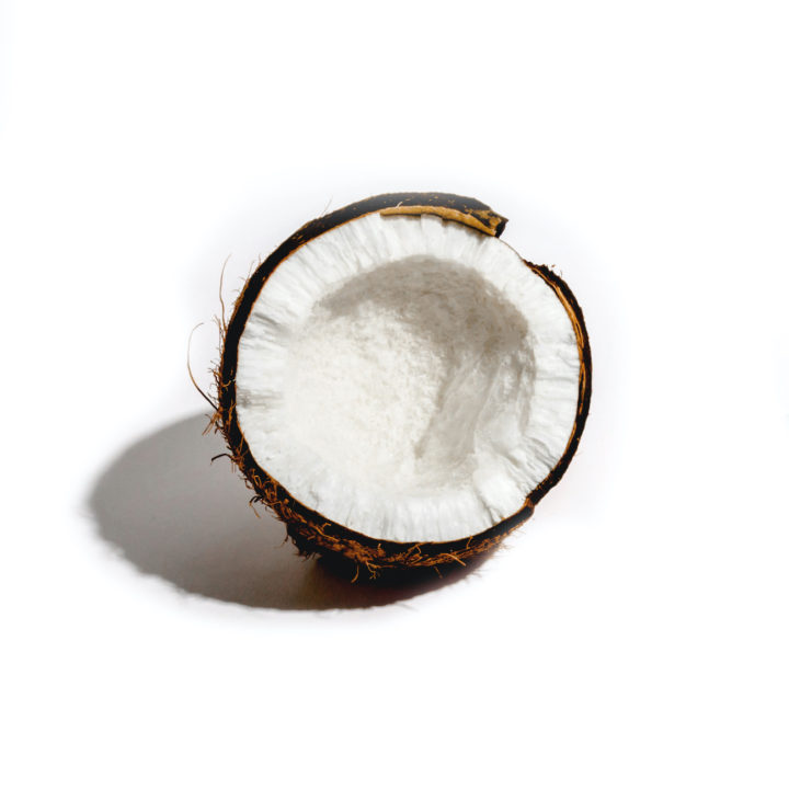 Natural Remedies For Dog Allergies in Seasons Allergies in Dogs