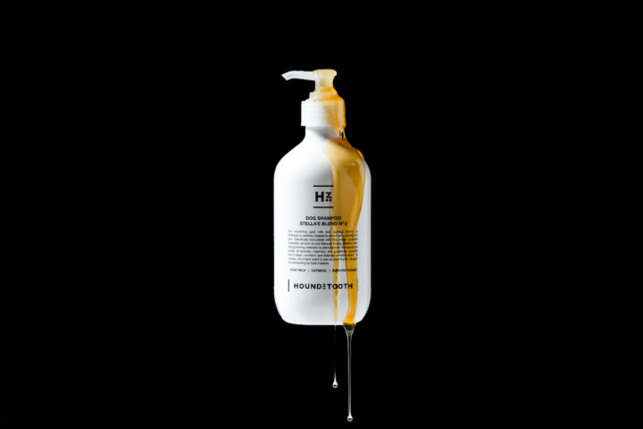 The Benefits of Manuka Honey Dog Shampoo