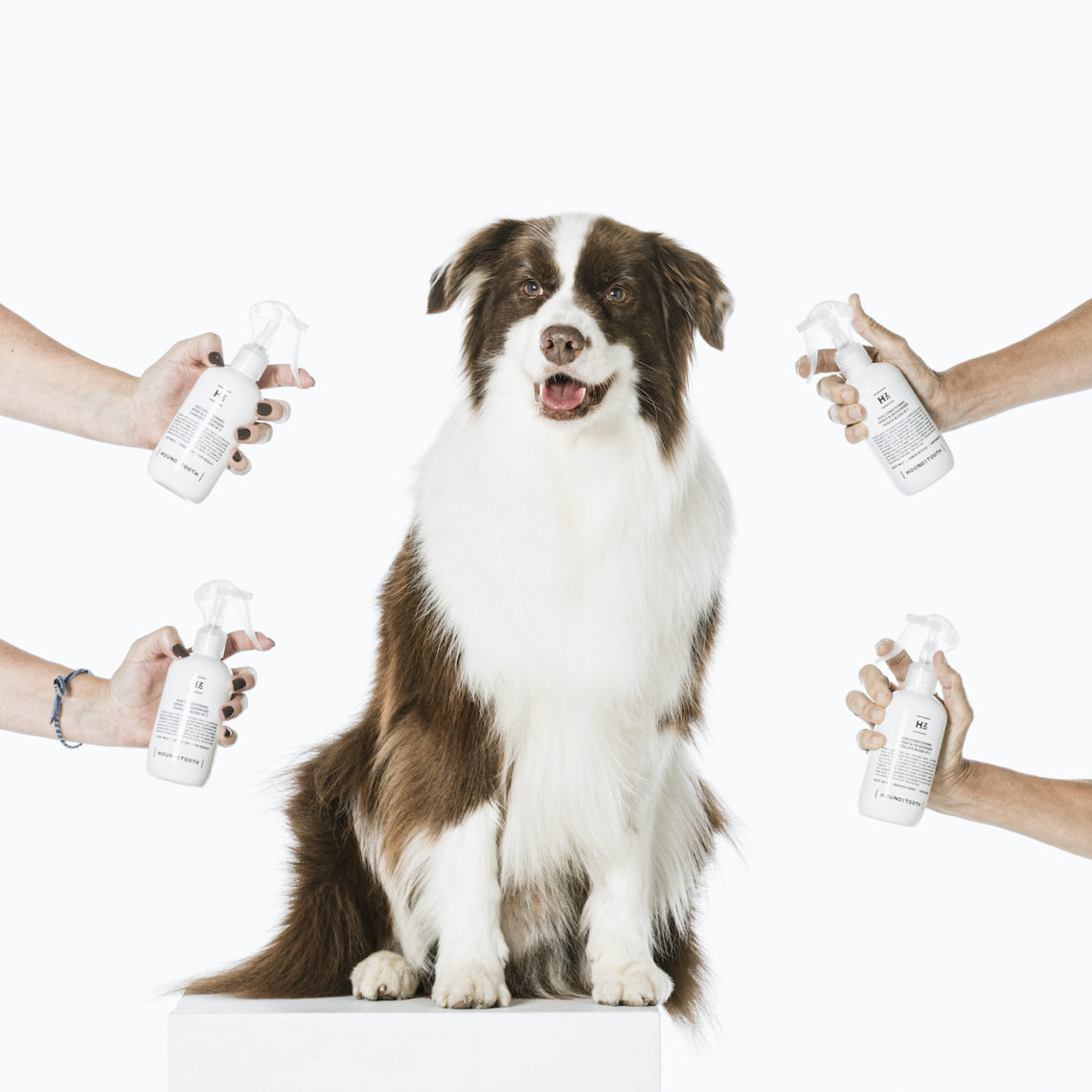 Tips For Grooming Border Collies & Double Coats Natural Dog Shampoo