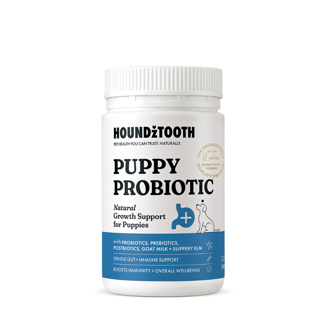 Puppy Probiotic