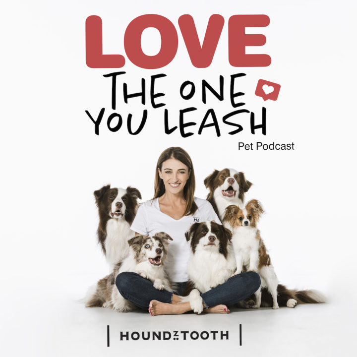 Dr. Katrina Warren’s Talks Tips for Itchy Skin