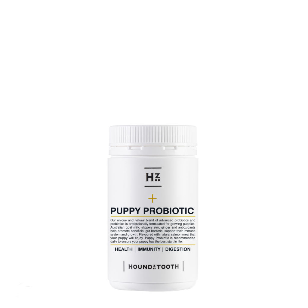 Puppy Probiotic | Hemp Oil For Dogs Australia - Houndztooth