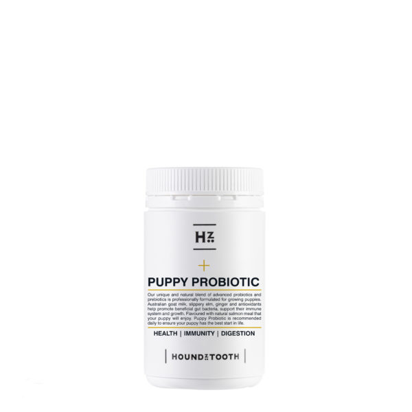 Probiotics for Dogs Australia For Better Dog Gut Health