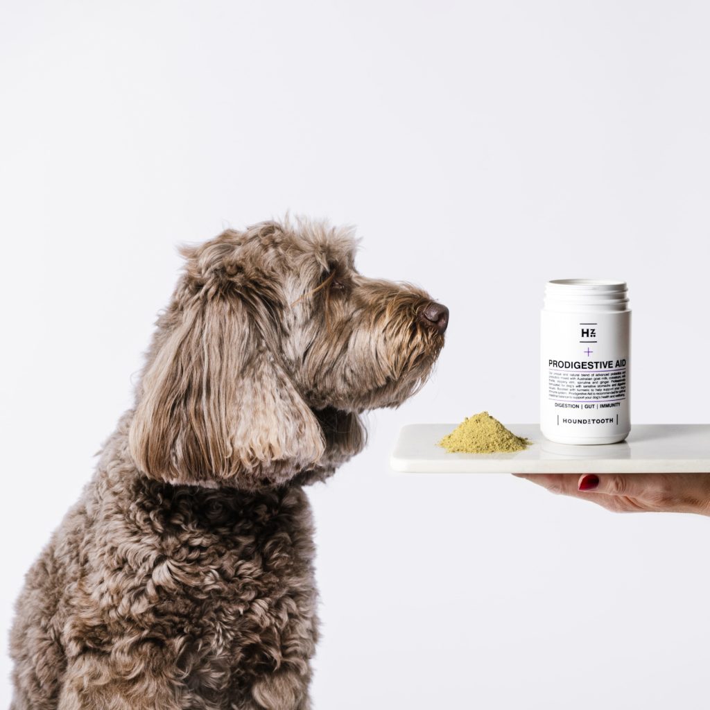 Houndztooth Ambassador Supplements prodigestive Aid 5334 AdobeRGB 300dpi High Res min Probiotics & Prebiotics for Dogs with Sensitive Stomach