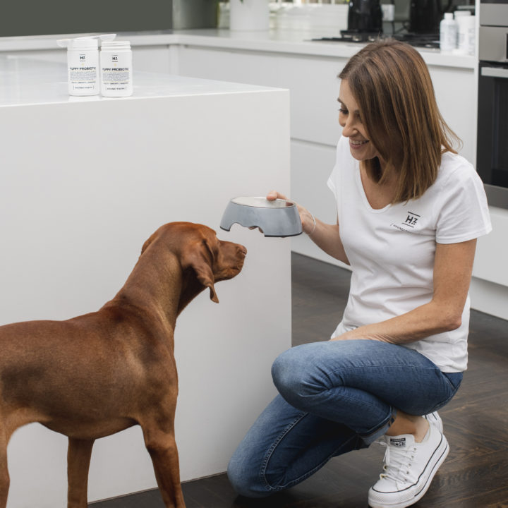 Dr. Katrina’s 5 Favourite Products for Welcoming New Puppies