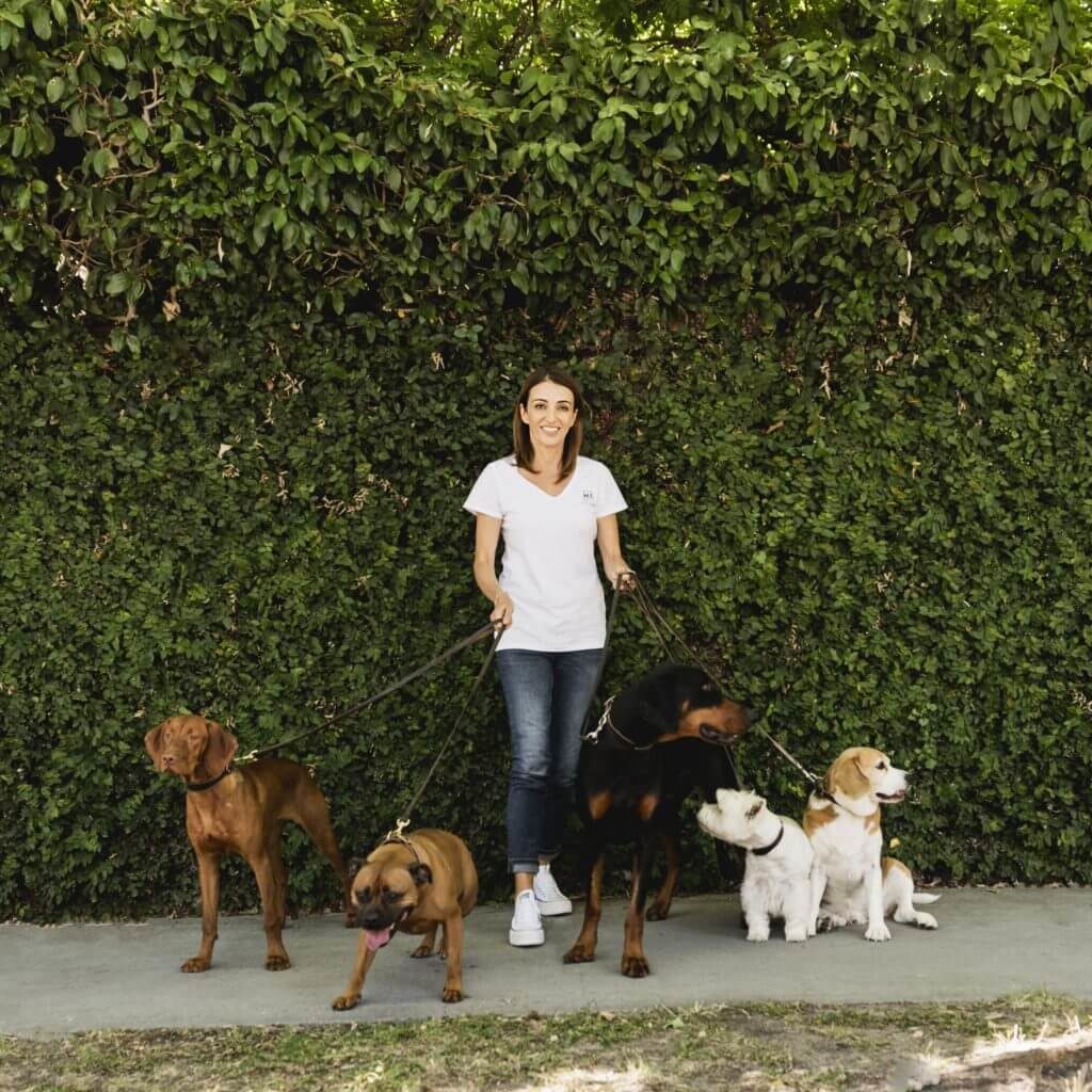 Dr. Katrina Warren’s Tips on Dog Park Etiquette