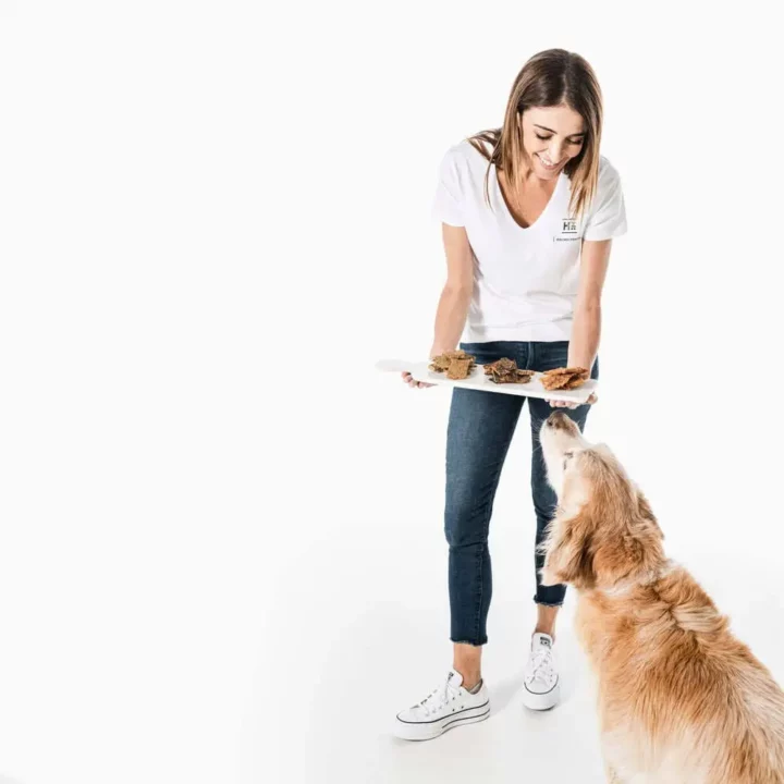 Dr Katrina’s Tips for Teaching Your Dog the Recall