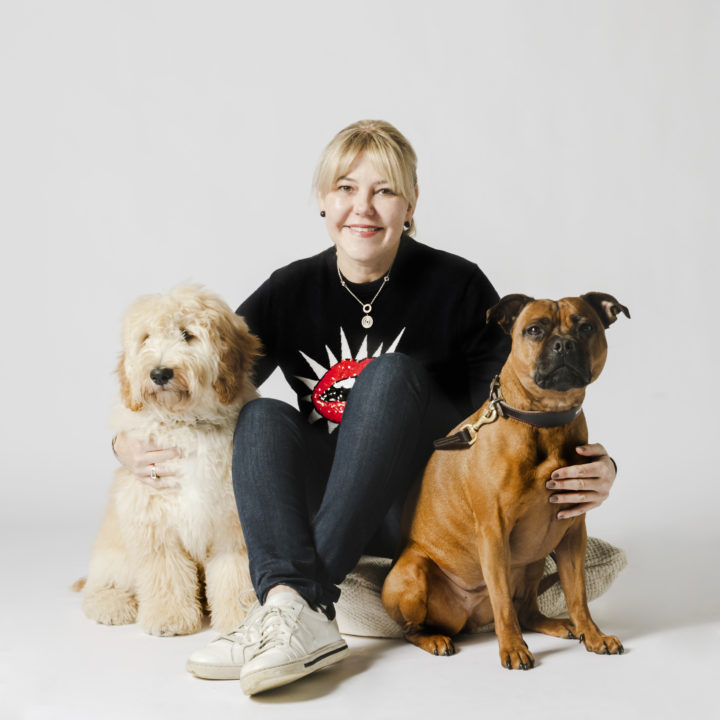 What’s New At Houndztooth’s HQs