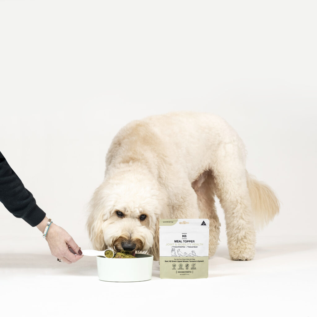 Houndztooth Australia best meal topper for dogs, entice fussy eaters, raw boost all natural