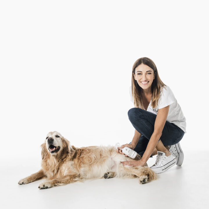 Dr Katrina’s Hot Tips on Caring for Your Dog’s Coat in Spring & Warm Weather