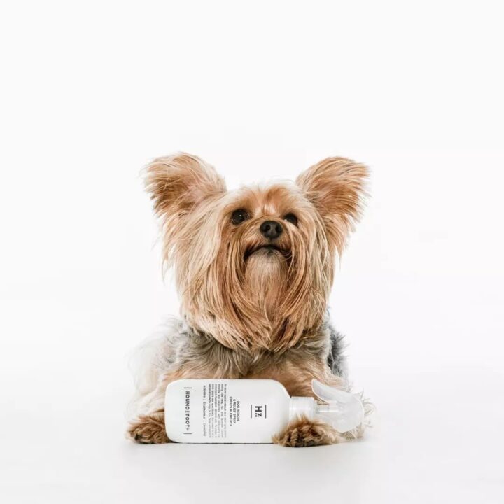 Our Tips & Dog Shampoo for Itchy Skin