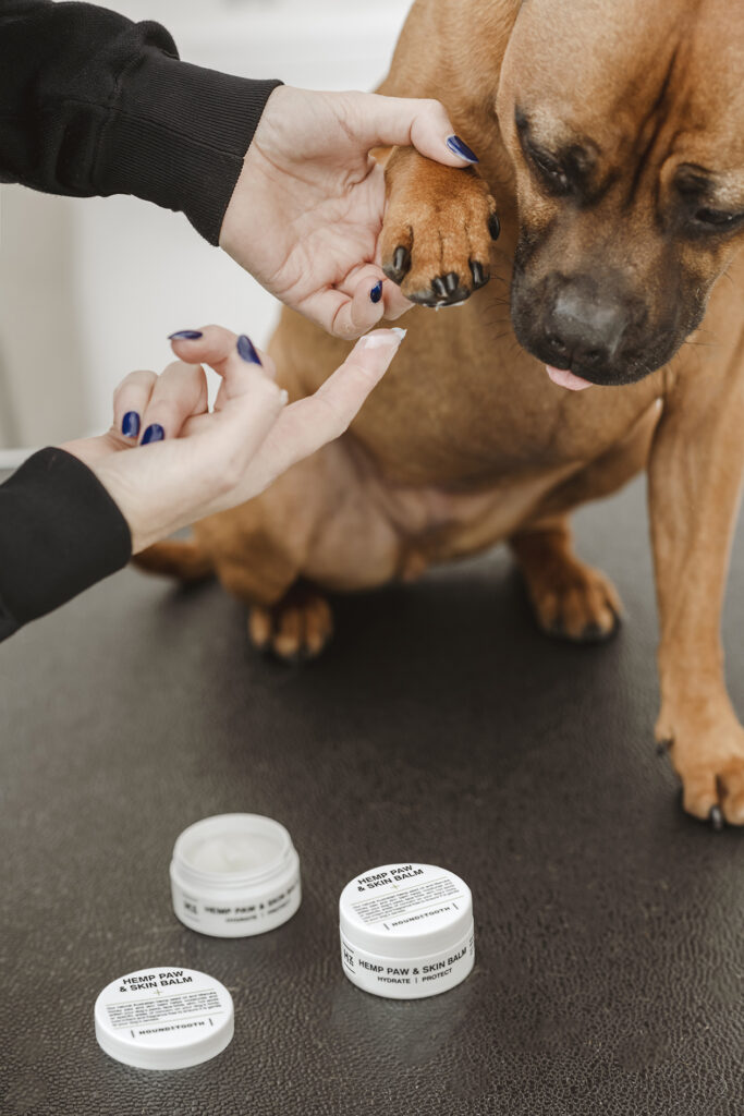 A person applying Houndztooth's dog paw balm on Stella, Houndztooth dog ambassador.