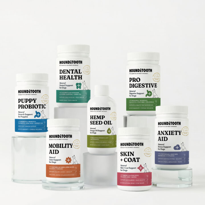 How to Select a High-Quality Pet Supplement?