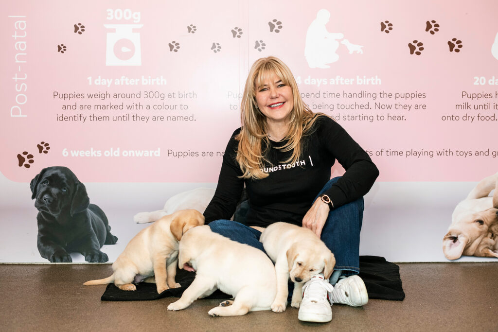 Houndztooth-Guide Dogs-Oct 25-7757. sRGB-120dpi-WEB