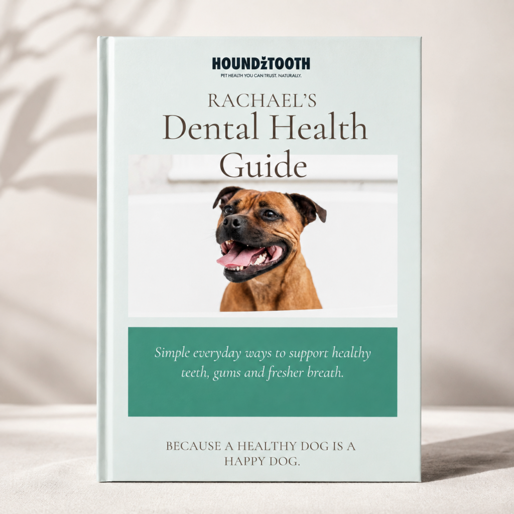 Rachael’s Dental Health Guide by Houndztooth