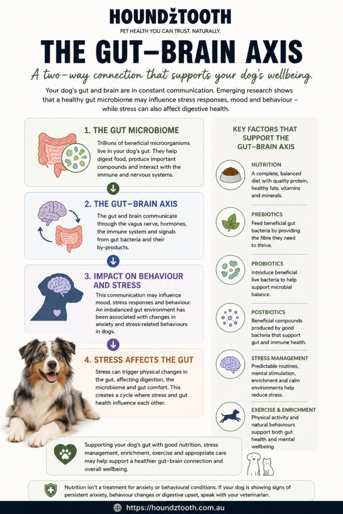 Dog gut-brain axis infographic explaining how the gut microbiome, brain, stress and behaviour are connected