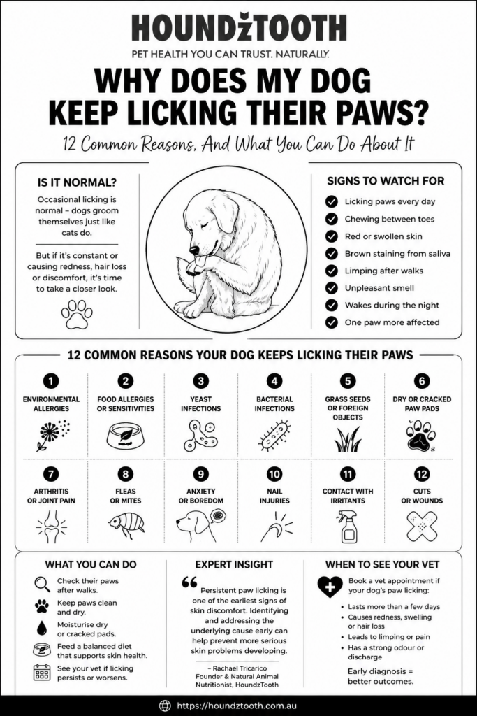 Dog allergies and paw licking infographic showing common causes and warning signs