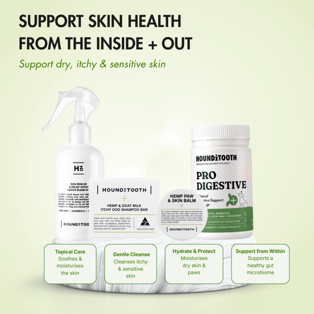 Itchy Skin Support Bundle with gut health, shampoo, topical spray and skin balm for dogs