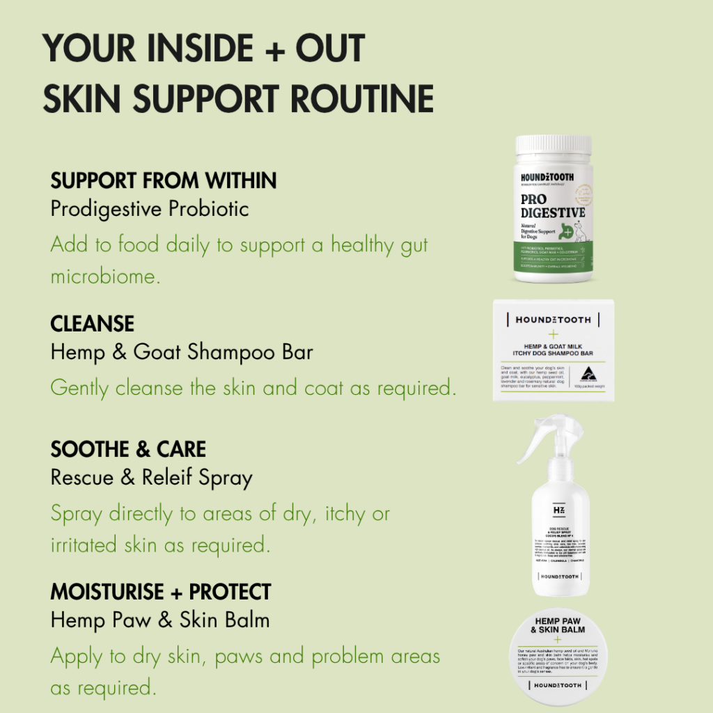 Inside and out dog skin care routine with digestive support, shampoo, spray and balm