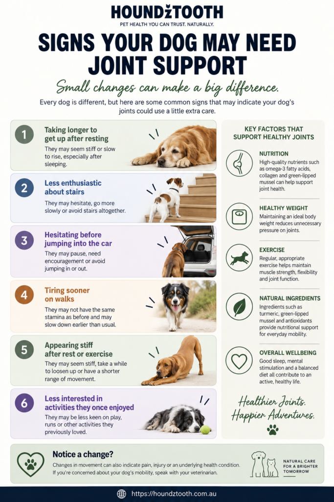 Signs your dog may need joint support, including stiffness, difficulty with stairs and reduced activity